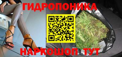 прущие грибы Обнинск