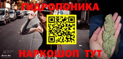 прущие грибы Обнинск