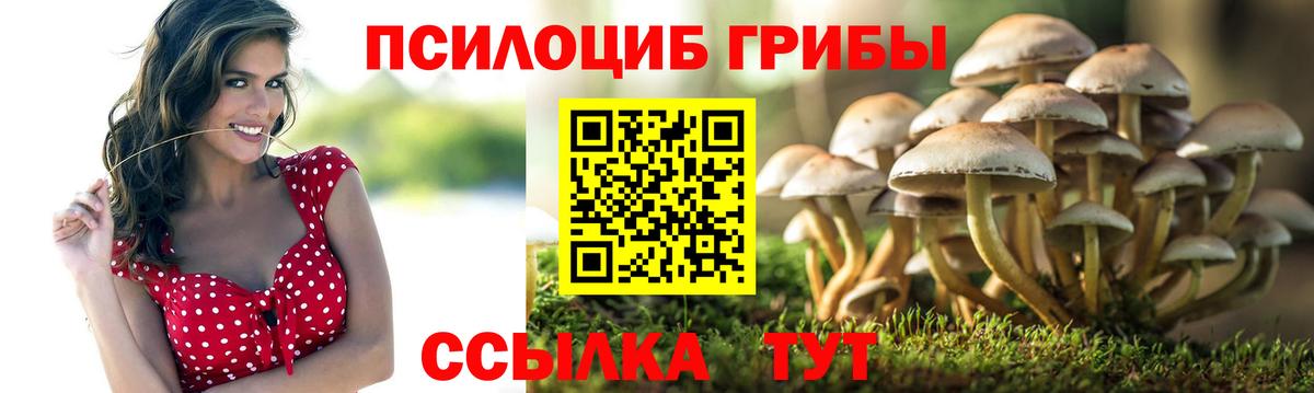 Псилоцибиновые грибы Psilocybe  Галлюциногенные грибы мицелий  Тихорецк  Вход с VPN 